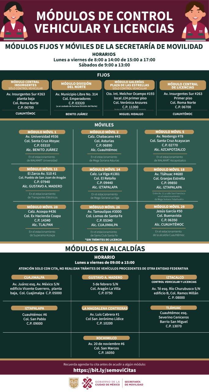 Módulos de Control Vehicular y Licencias