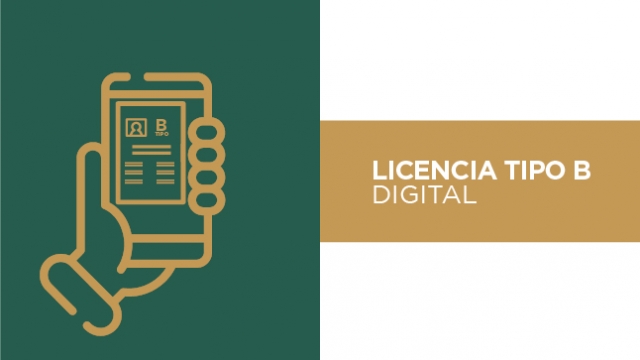 Digitalización de la licencia Tipo B para taxistas