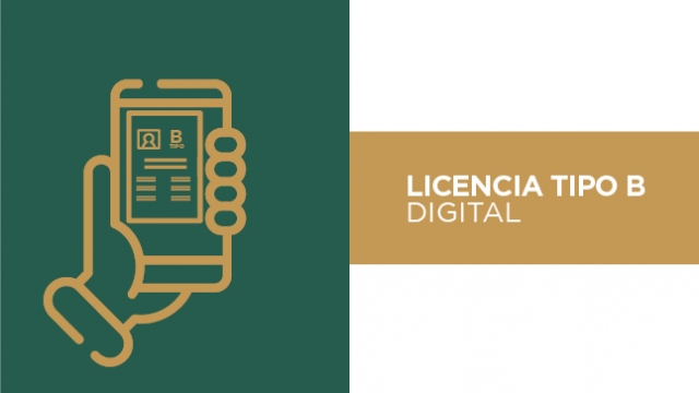 Digitalización de la licencia Tipo B para taxistas