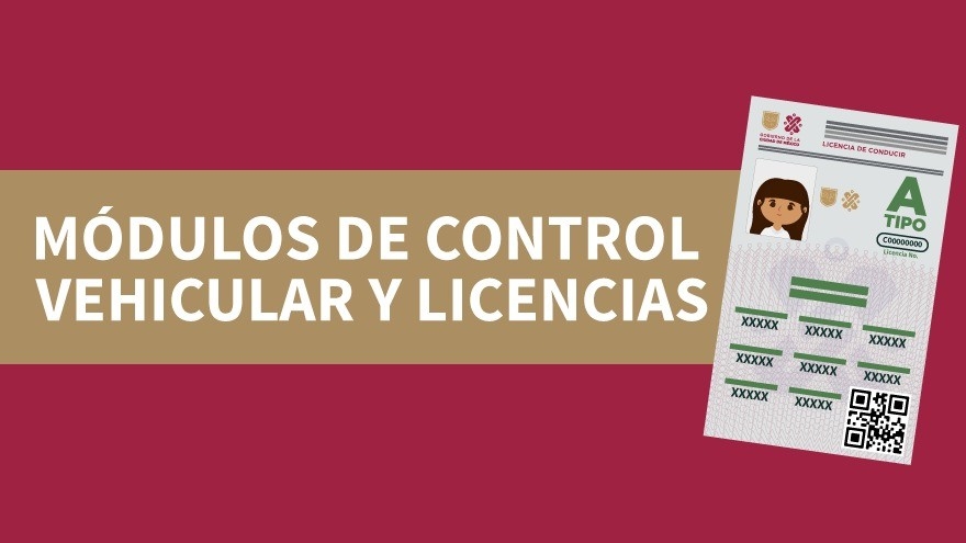 Consulta los módulos aquí